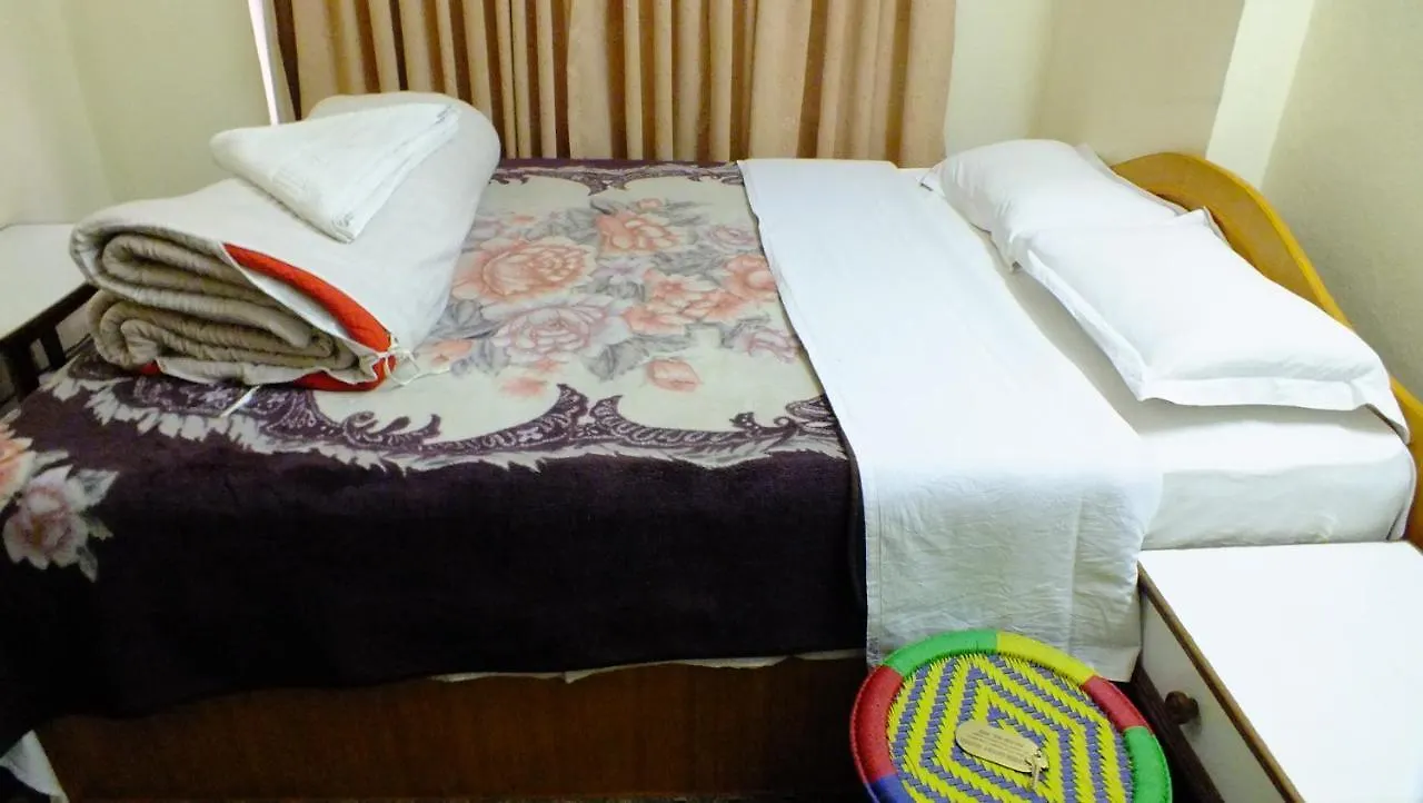 Hotel Dolphin カトマンズ ネパール